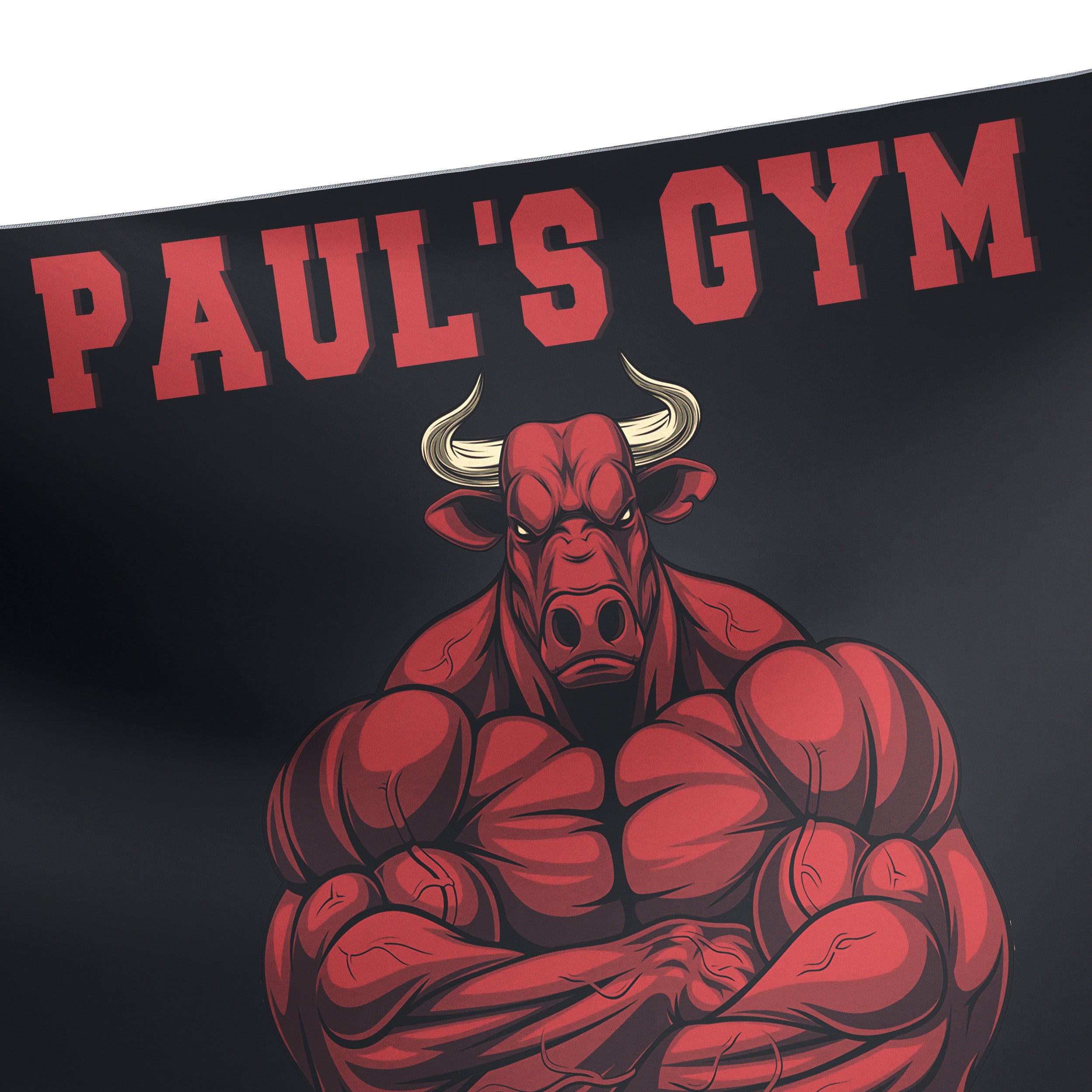Personalised Gym Banner Flag Home Gym Red Bull Motivational 10678