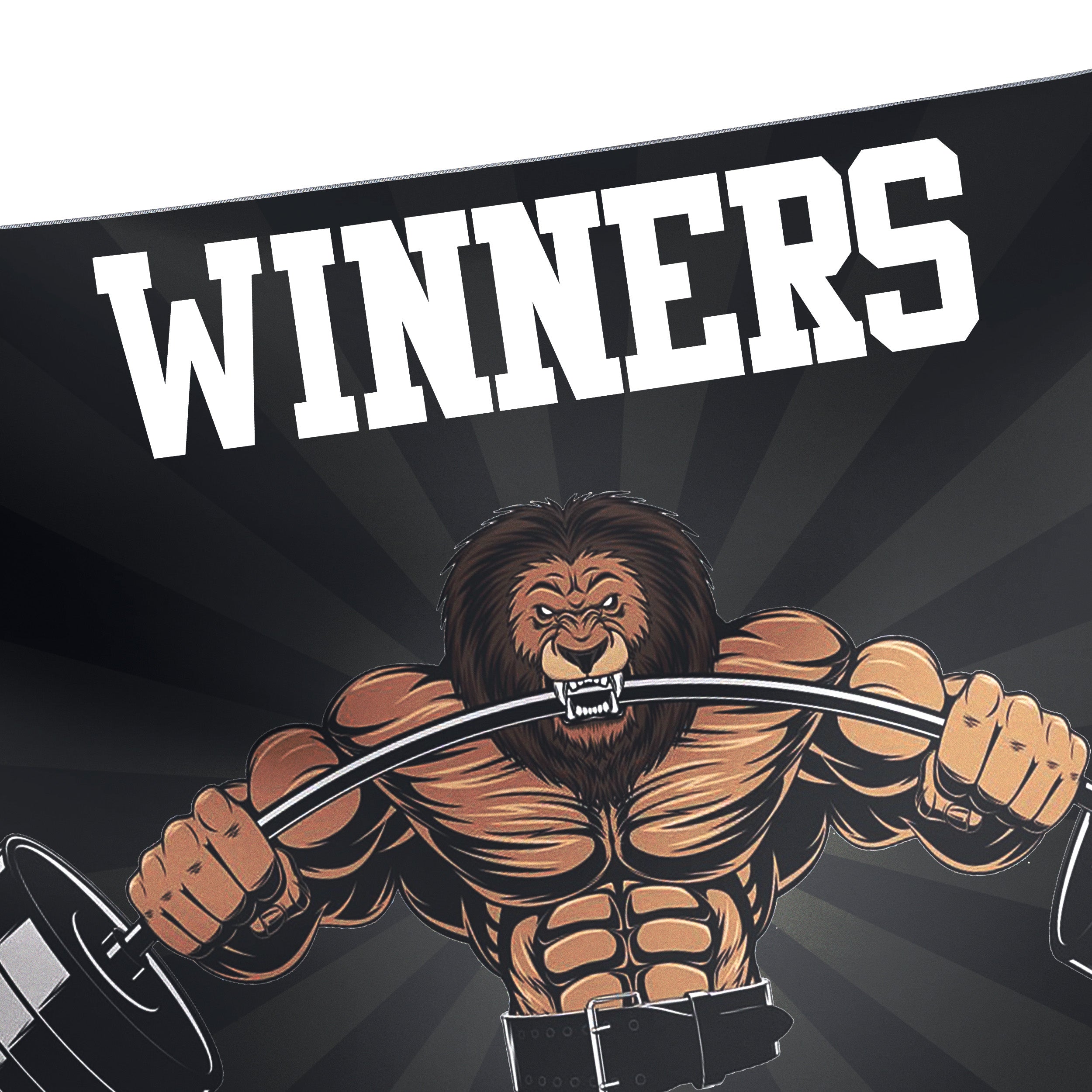 Home Gym Decor Wall Art Banner Flag Tapestry Lion 10821