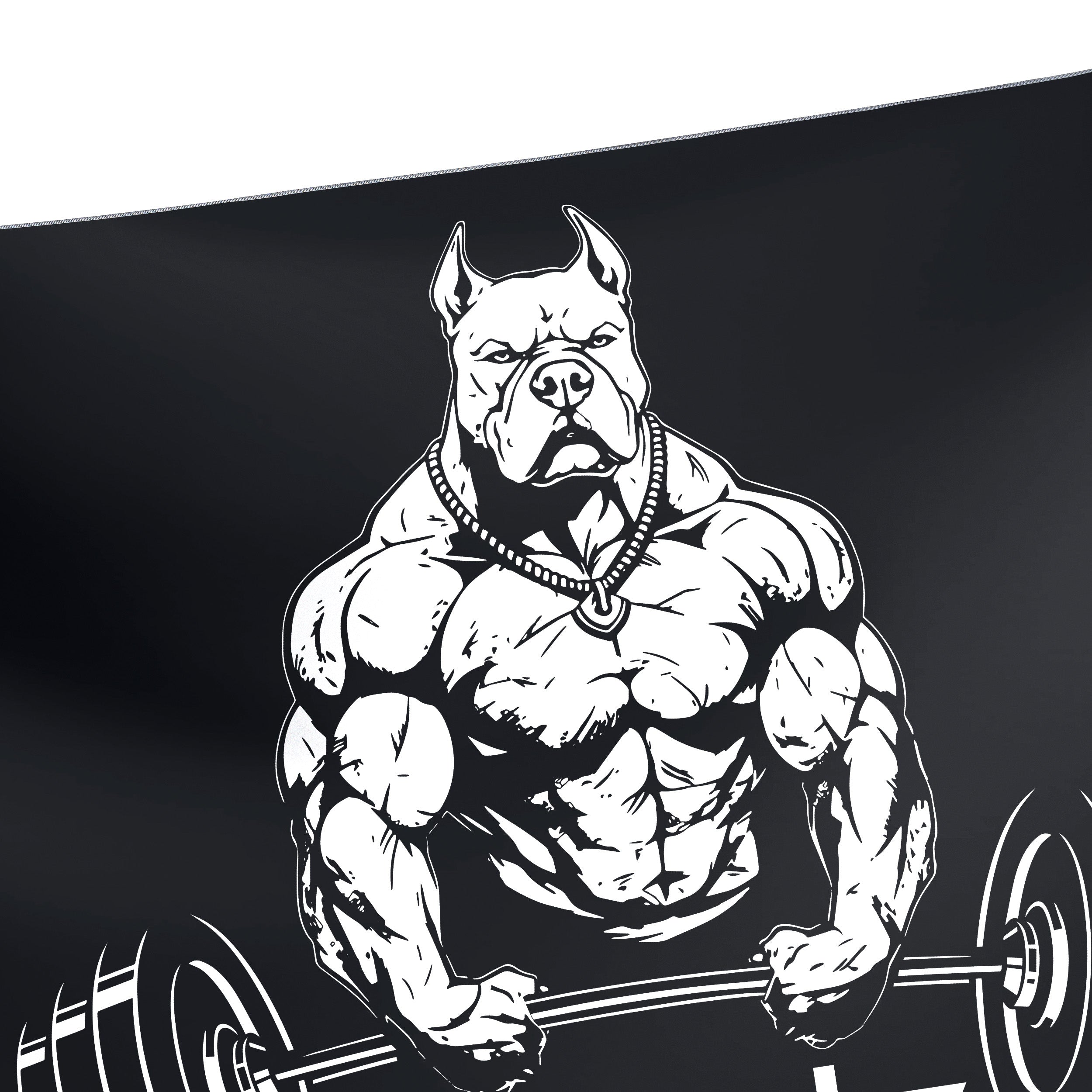 Personalized Home Gym With Pitbull Flags 11186