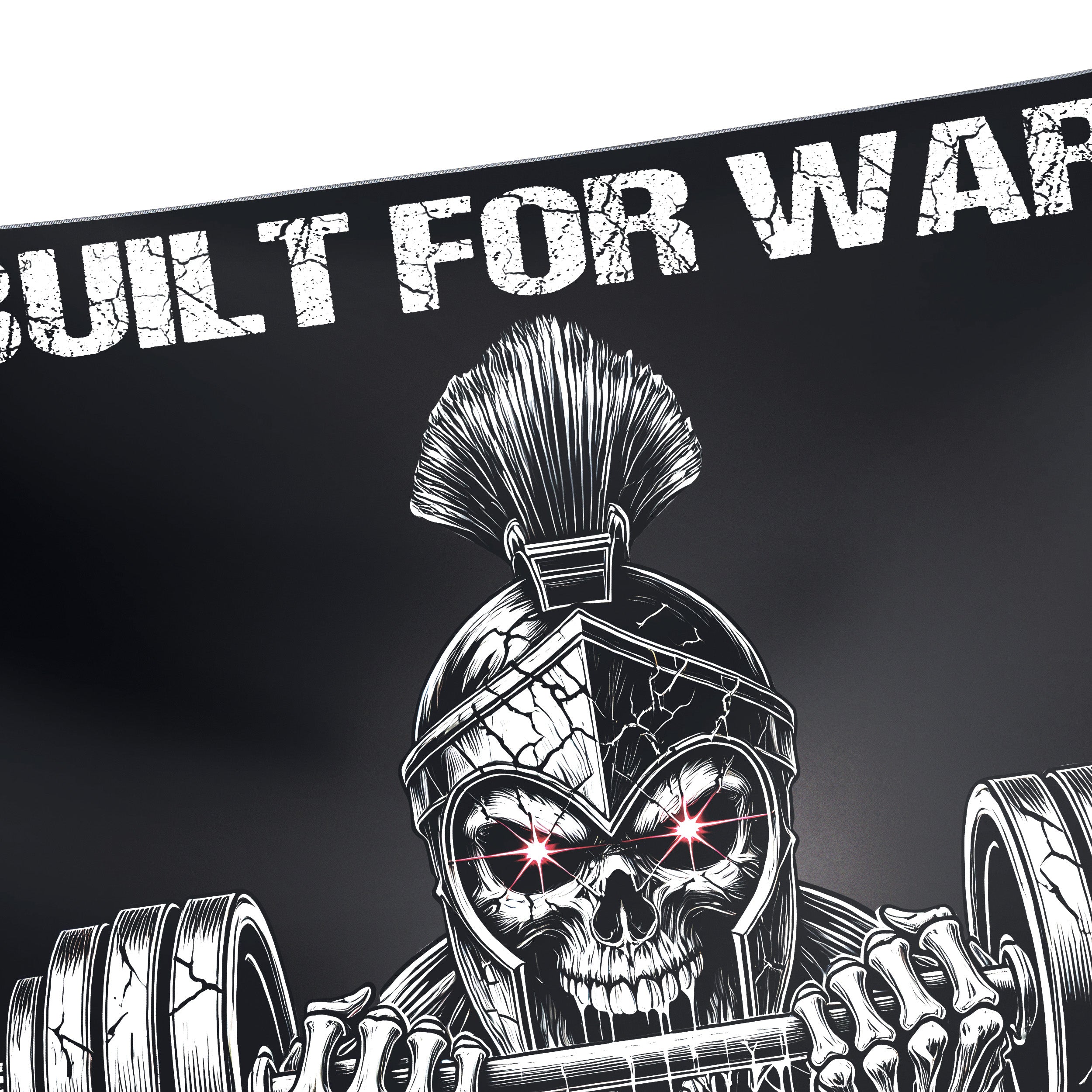 Forged Spartan Home Gym Banner – Born for War, Built in Iron 11453