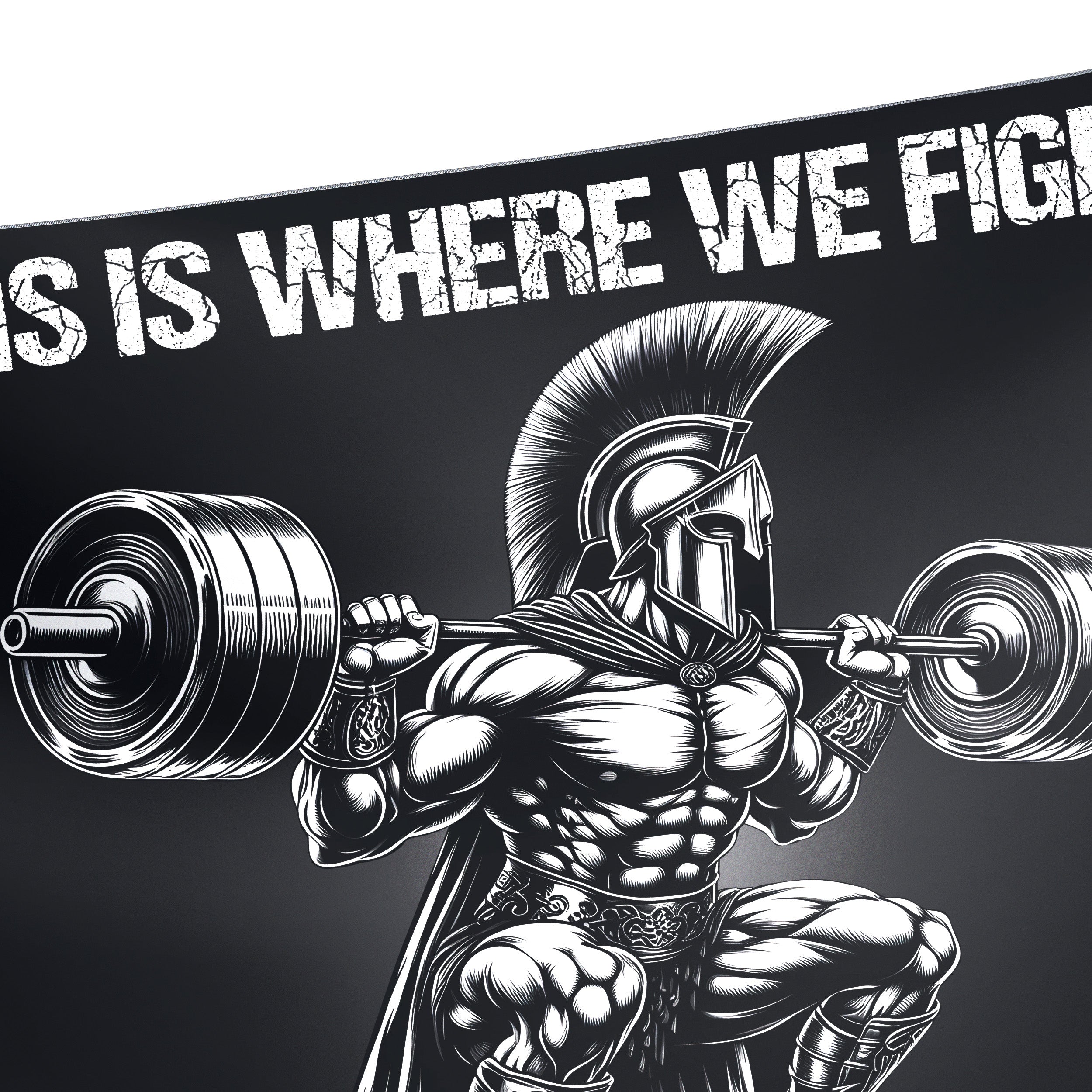 Spartan Warrior Gym Banner – This is Where We Fight 11459