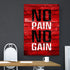 Motivational Quotes Gym Poster Canvas Home Gym Decor Fitness Gifts