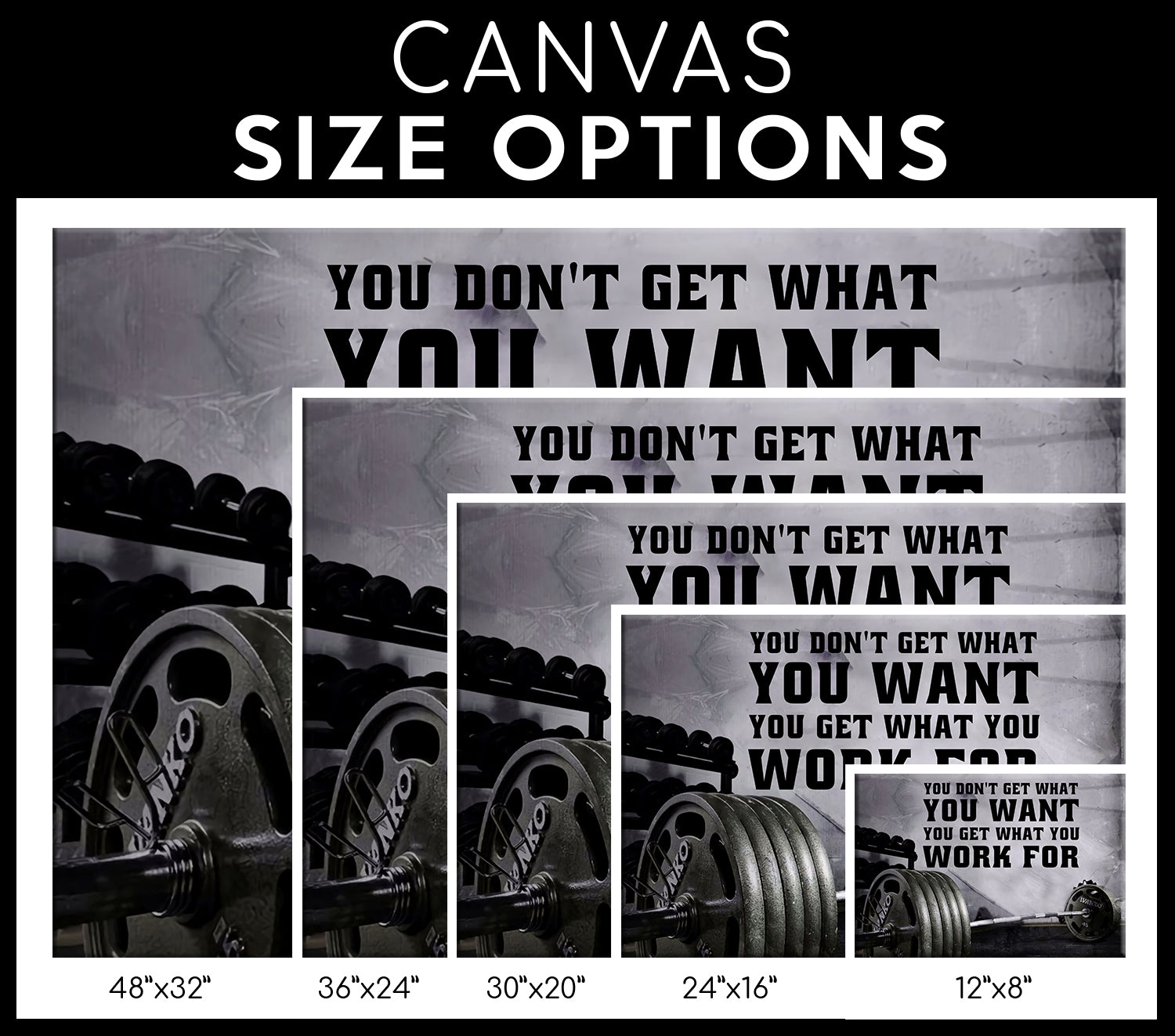 Home Gym Decor You Dont Get What You Want Canvas, Wall Art