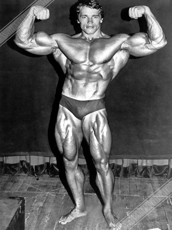 Arnold Schwarzenegger Best Bodybuilder of All Time